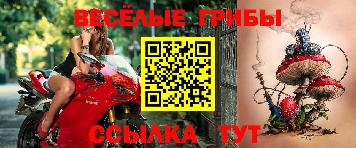 Псилоцибиновые грибы Psilocybe  Псилоцибиновые грибы Magic Shrooms  Обнинск 