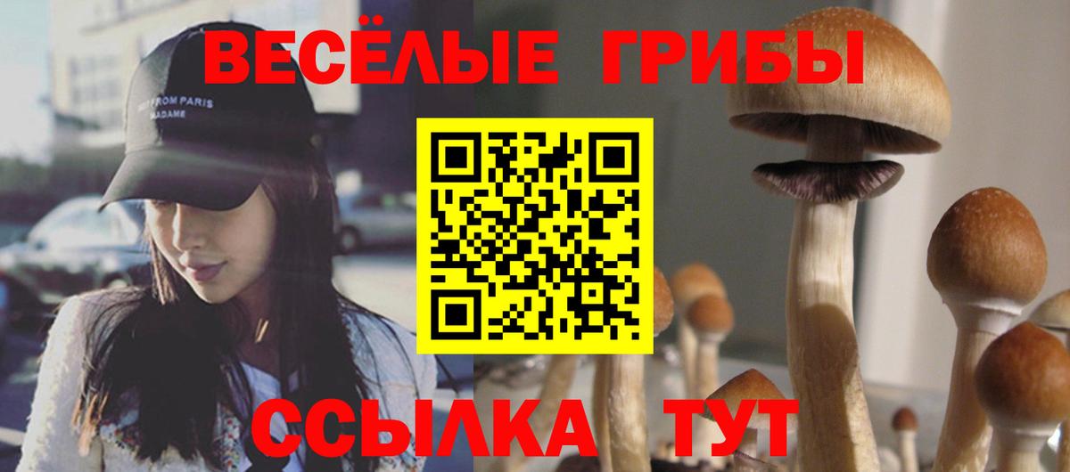Псилоцибиновые грибы прущие грибы Обнинск