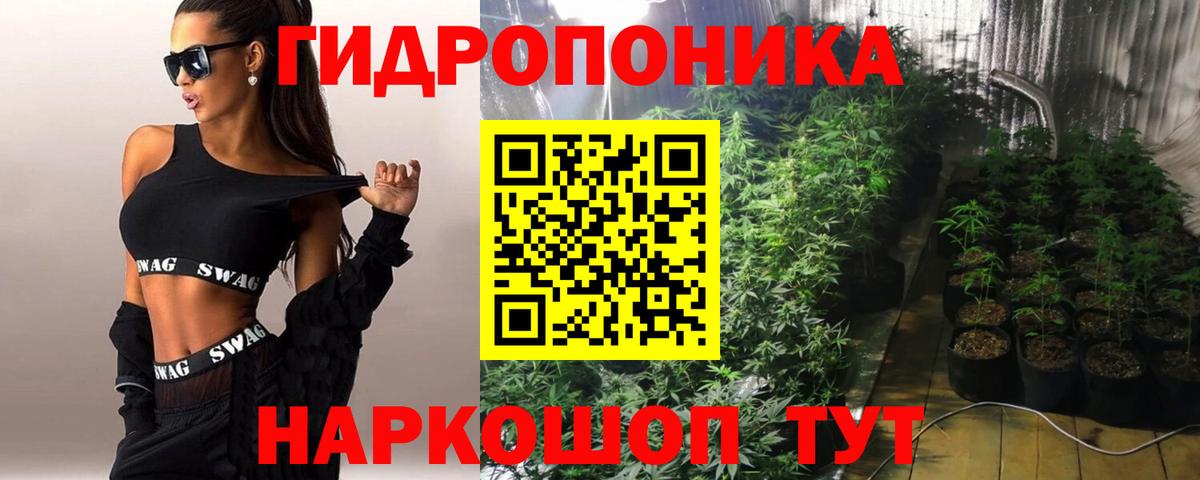 Канабис гибрид Обнинск